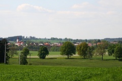 IMG_0512