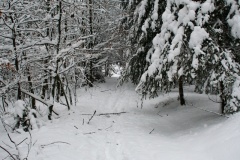 IMG_5401