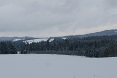IMG_5420