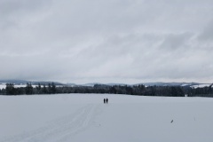 IMG_5421_panorama