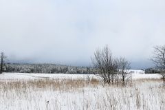 IMG_5434_panorama