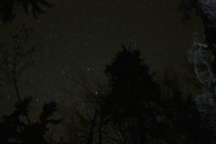 IMG_0720