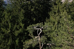 IMG_0801
