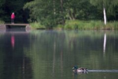 IMG_3561