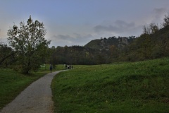 IMG_8743