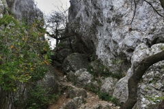 IMG_8861