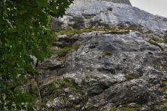 IMG_8871