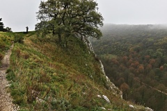 IMG_8904_panorama