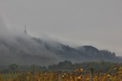 IMG_9024
