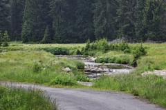 IMG_8107