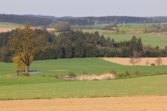 IMG_7859