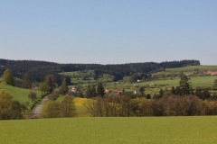 IMG_7867
