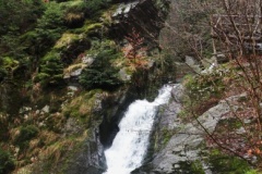 IMG_5284_panorama