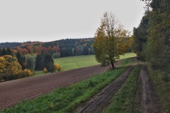 IMG_8462