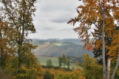 IMG_8485