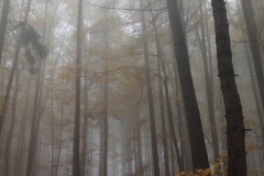 IMG_9875