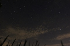IMG_0108