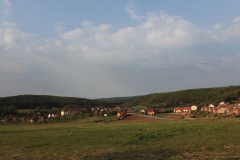 IMG_0118