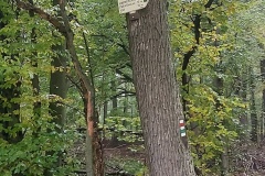 20201024_095901