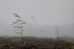 20201024_133751