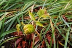 IMG_20201024_112033