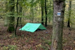 IMG_20201025_073812