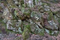 IMG_20210424_073559