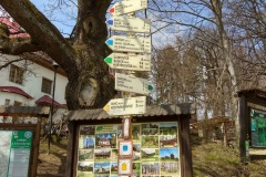 IMG_20210424_123848