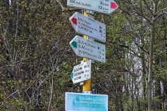 IMG_20210425_144041