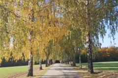 20211017_104328