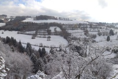 PANO_20221119_123548