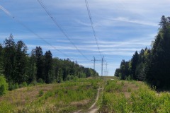 20260503_093217