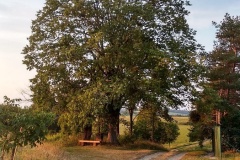 IMG_20190830_190900_HDR