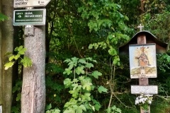 IMG_20190830_192212_HDR