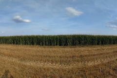 PANO_20190830_171202