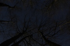 IMG_0014