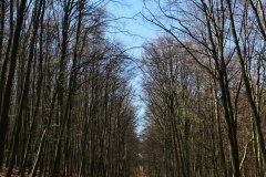 IMG_9902