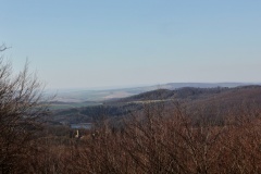 IMG_9941