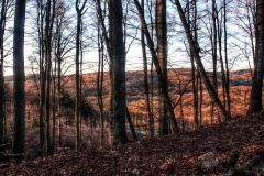 IMG_9980_ToneMapping