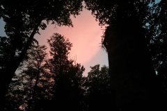 20260524_154451
